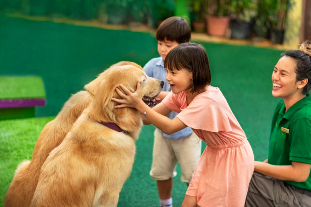 Singapore Zoo Tickets Location